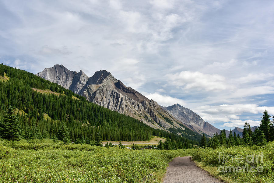 Canadian Rockies Walking Trail Photograph