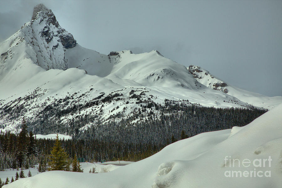 Canadian Rockies Winter Peak Photograph by Adam Jewell