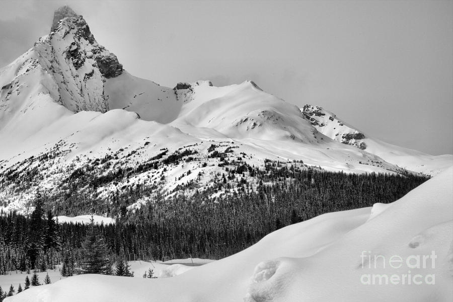 Canadian Rockies Winter Peak Black And White Photograph by Adam Jewell