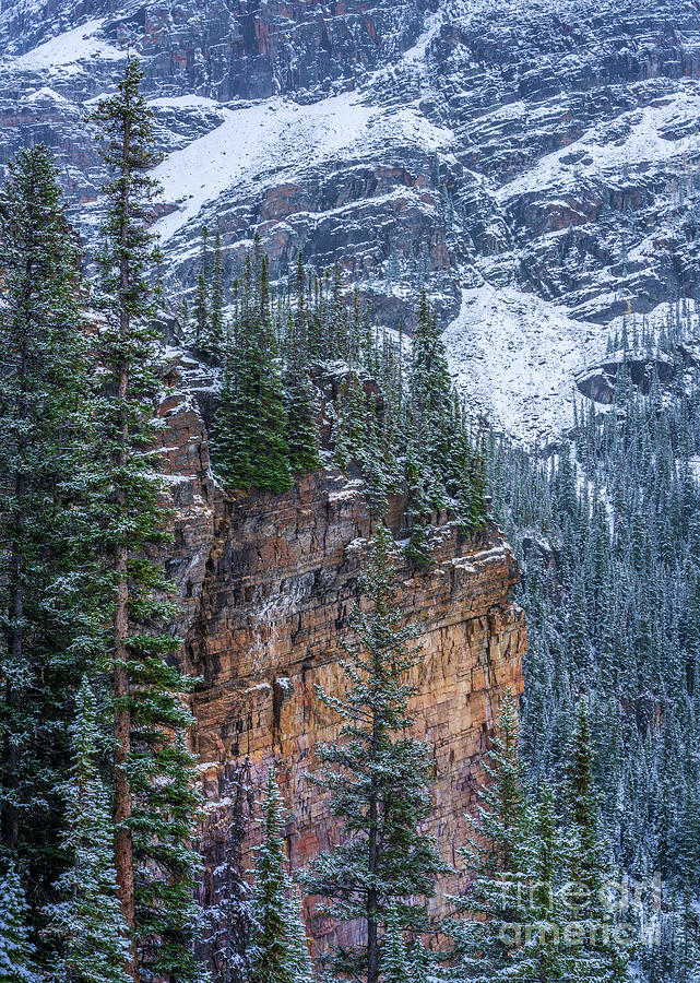 Banff National Park Photograph - Canadian Rockies Yukness Ledges by Mike Reid