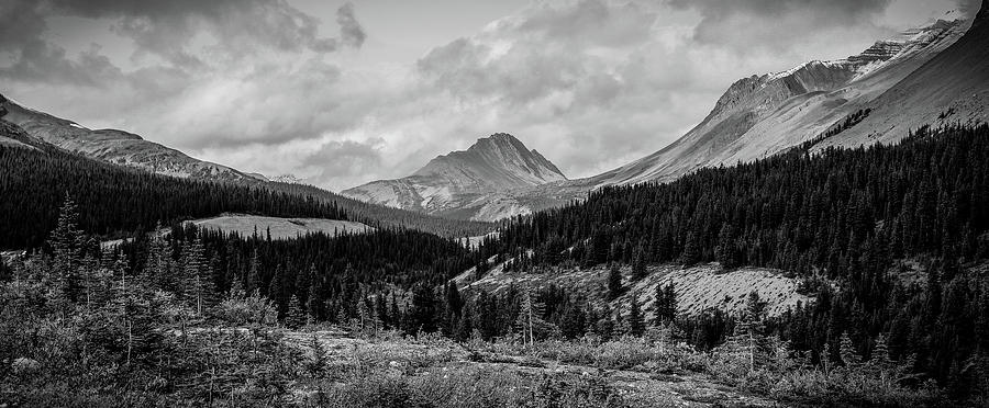 Canadian Rocky Panorama Black And White Photograph by Dan Sproul