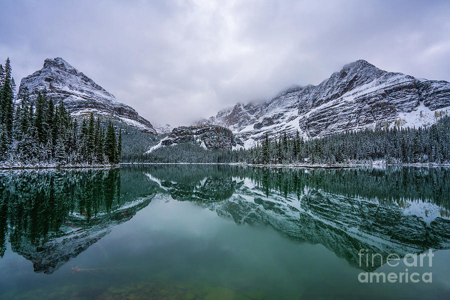 Canadian Rockies Lake OHara Winter Symmetry Photograph by Mike Reid