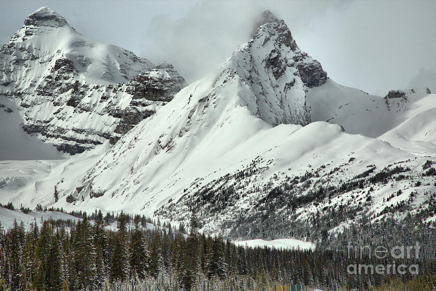 Canadian Rugged Winter Photograph by Adam Jewell