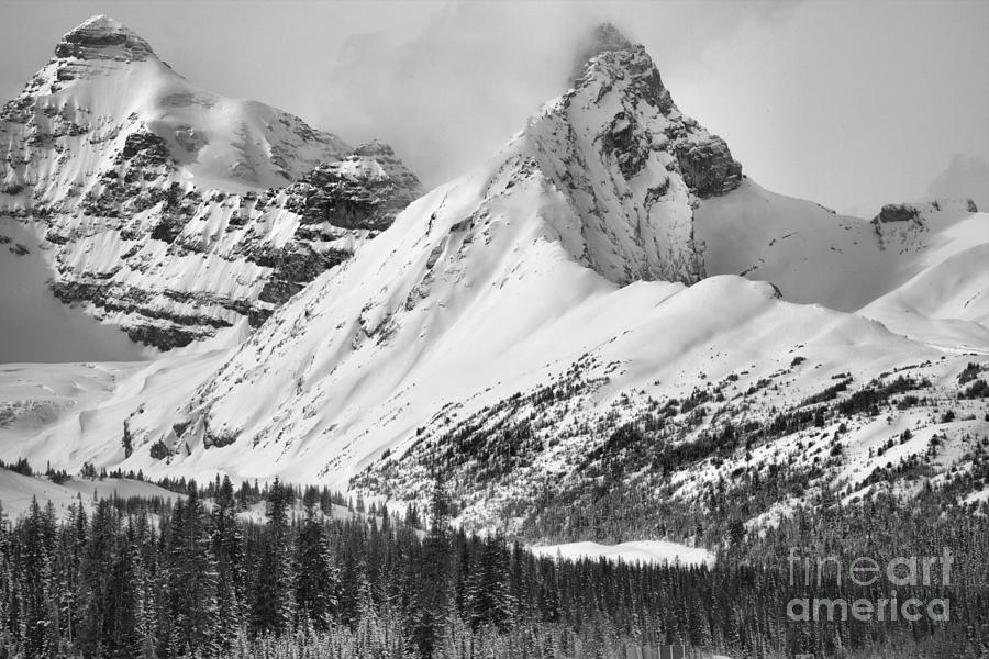 Canadian Rugged Winter Black And White Photograph by Adam Jewell