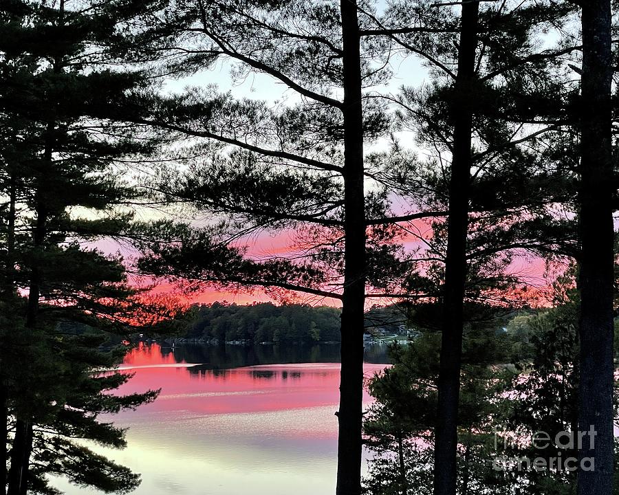 Canadian Sunset Photograph by Barbie Corbett-Newmin