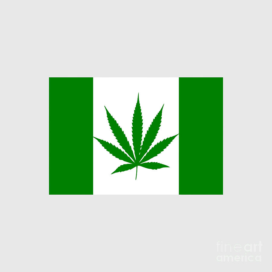 Canadian Weed Flag Drawing By Zalindra Pudjiastuti Fine Art America