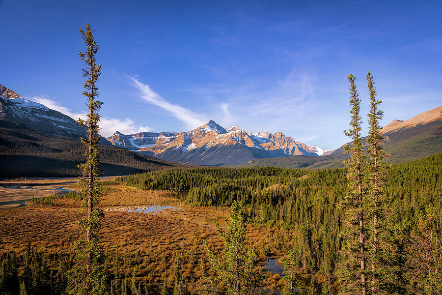 Canadian Wilderness Photograph by Andrew Soundarajan