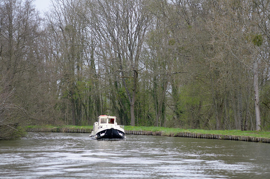 Canal boat in front of large trees, Nivernais Canal, Burgundy, France Photograph by Kevin Oke