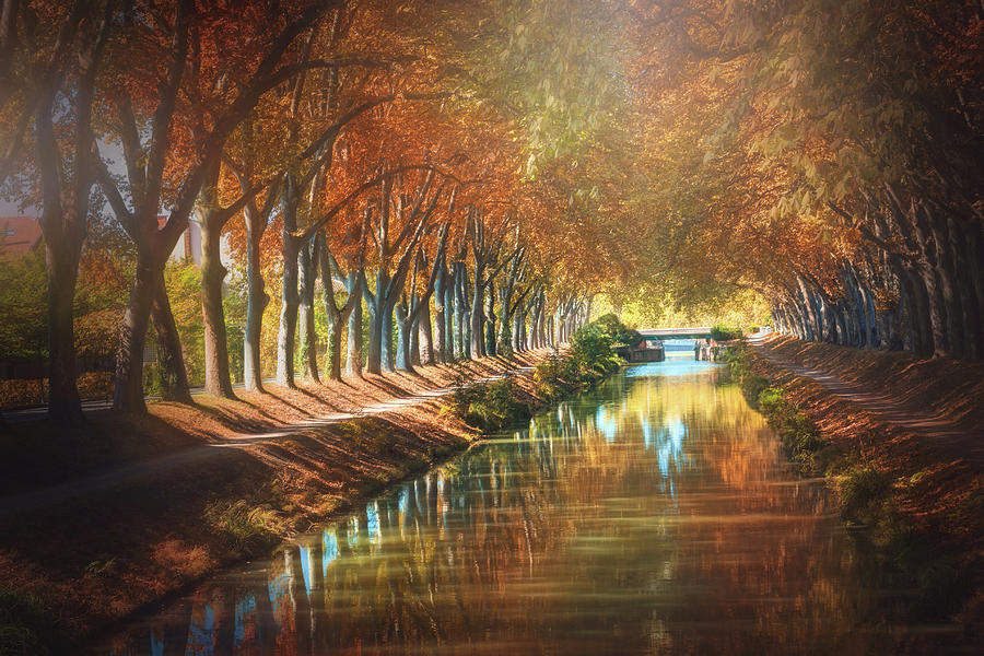 Fall Photograph - Canal de Brienne Toulouse France in Autumn  by Carol Japp