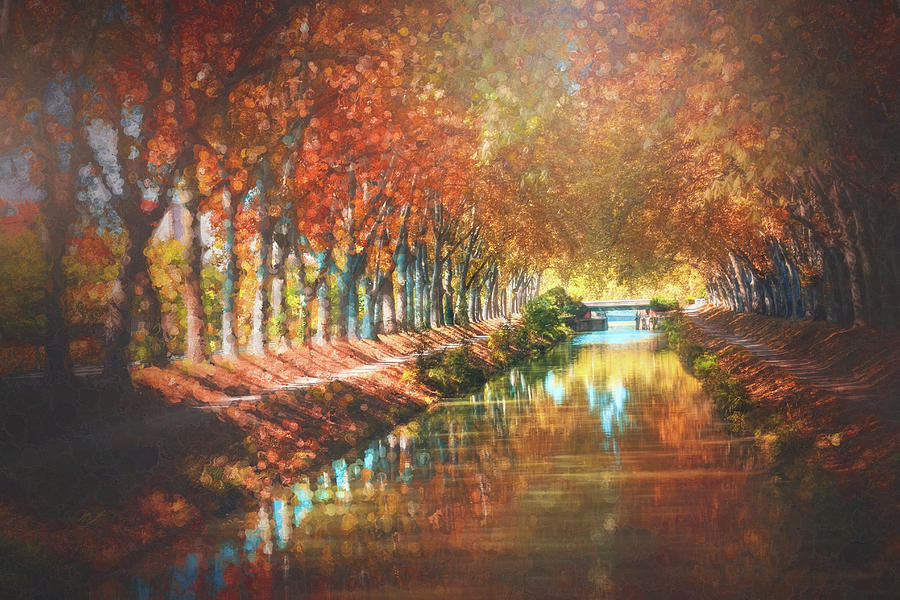 Canal de Brienne Toulouse France in Autumn Painterly  Photograph by Carol Japp