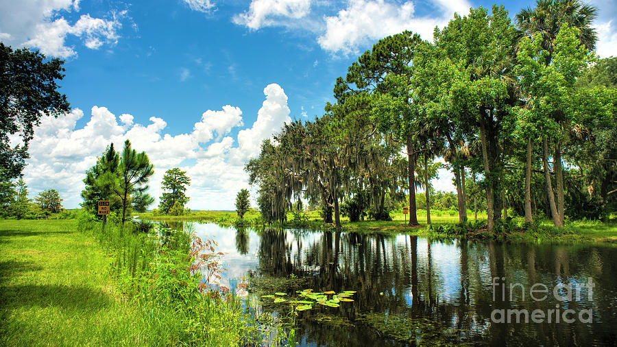 Orlando Photograph - Canal, Florida Wetlands by Felix Lai