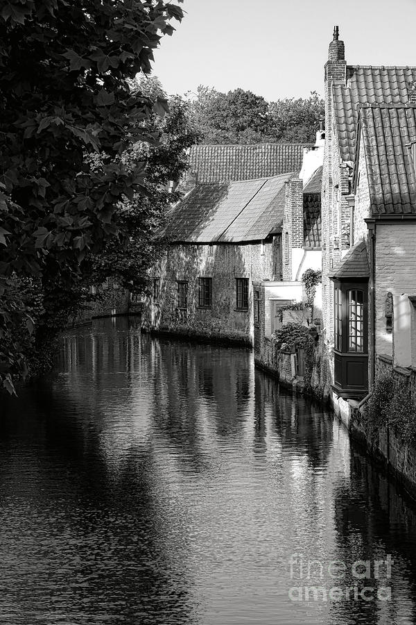 Canal In Bruges Photograph by Olivier Le Queinec