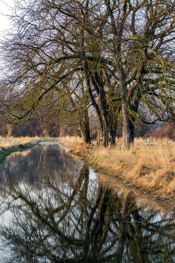 Canal Reflection by Harold Carlson Canal Reflection by Harold Carlson