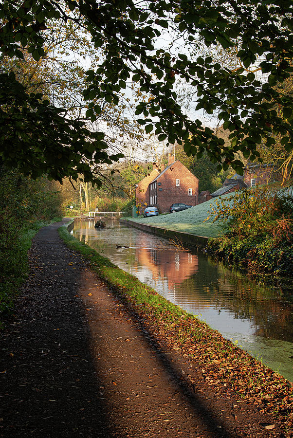Canal under the trees Photograph by Average Images