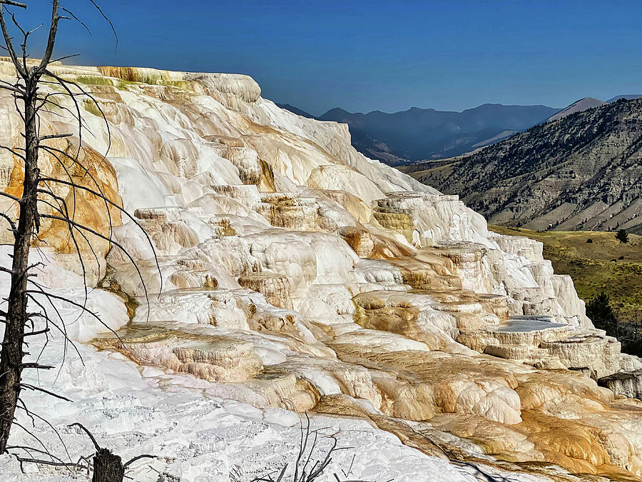 Canary Spring at Mammoth Hot Springs Photograph by Judy Vincent