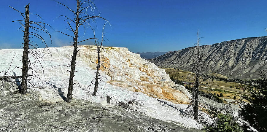 Canary Spring at Mammoth Hot Springs Pano Photograph by Judy Vincent