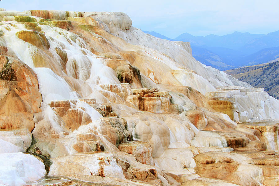 Canary Spring in Yellowstone National Park Photograph by Shixing Wen ...