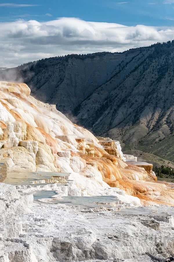 Canary Springs - Yellowstone Photograph by Louise Magno