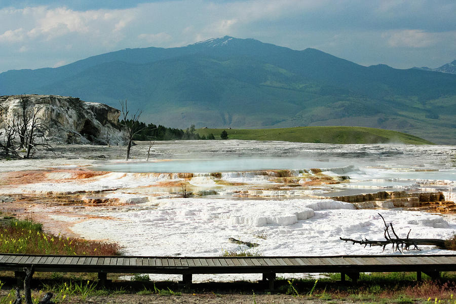 Canary Springs, Yellowstone Np Photograph