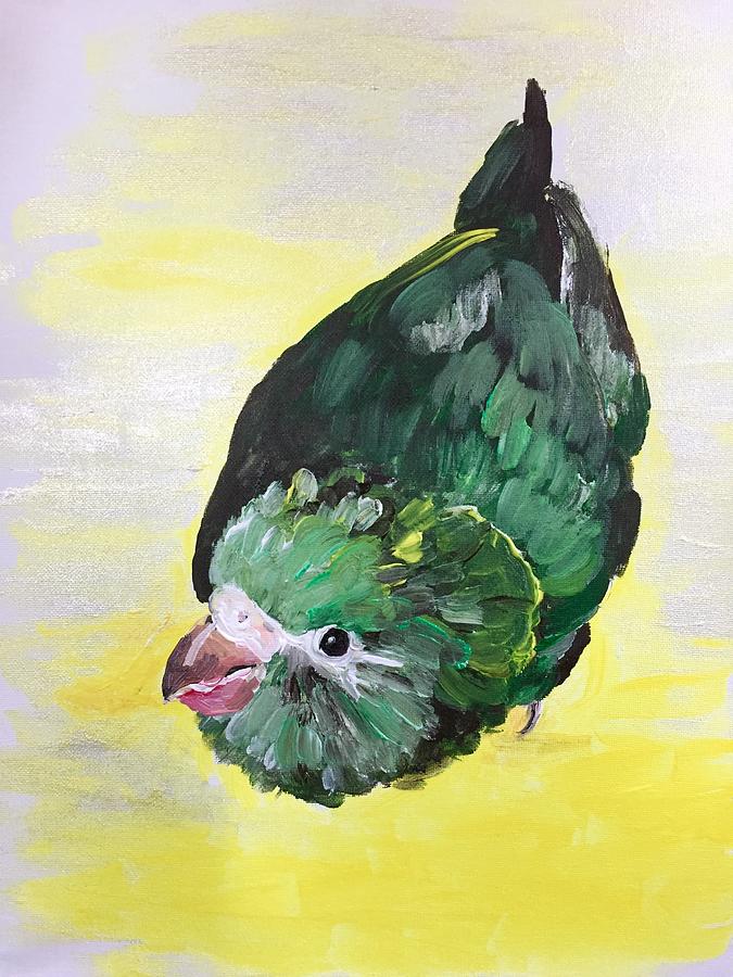 Canary-Winged Parakeet Painting by Danielle Rosaria