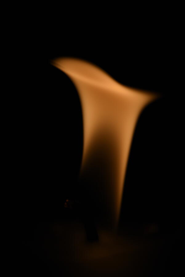 Candle In The Wind Photograph by Neil R Finlay