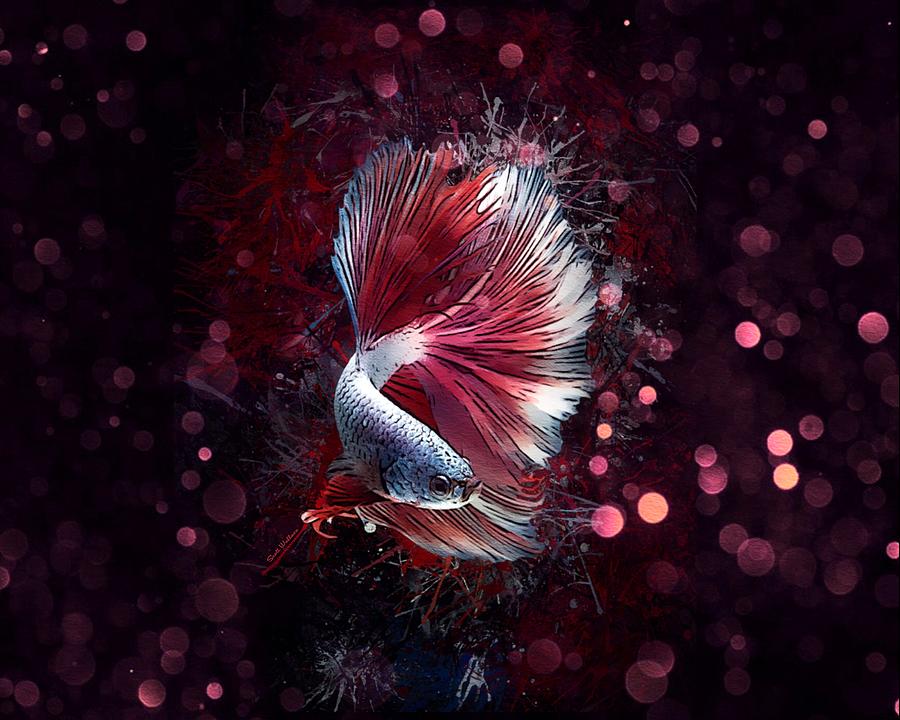 betta paltalk for mac betta paltalk for mac