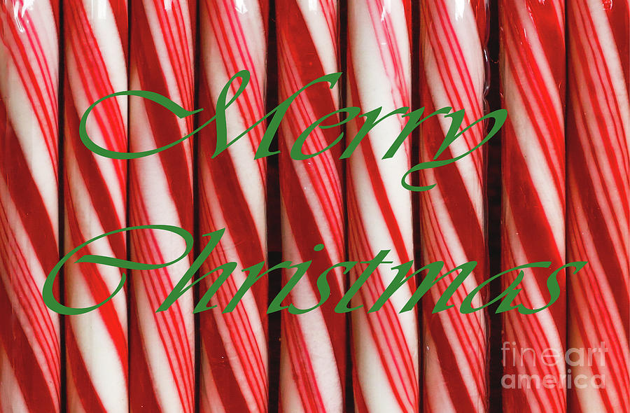 Candy Cane Wishes Photograph
