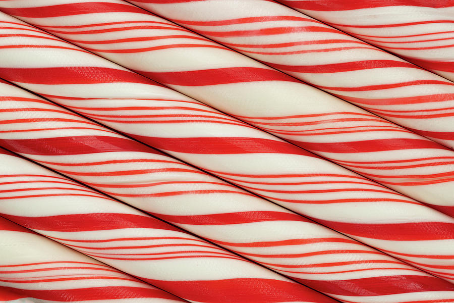 Candy Canes Photograph