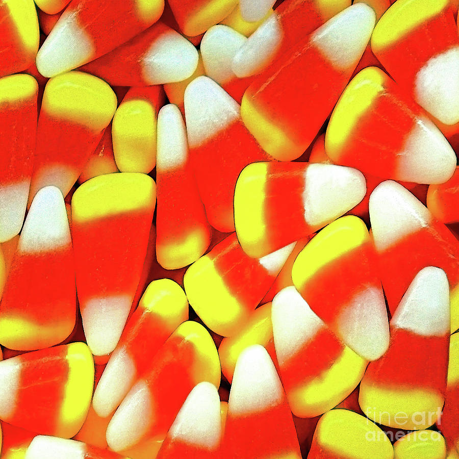 Candy Corn Photograph by Tom Watkins PVminer pixs