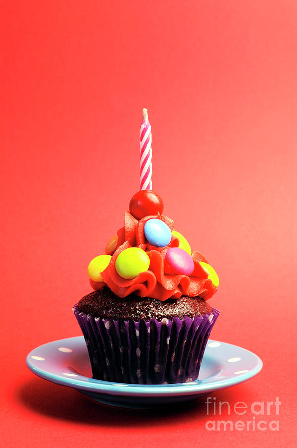 Candy covered chocolate cupcake Photograph by Milleflore Images