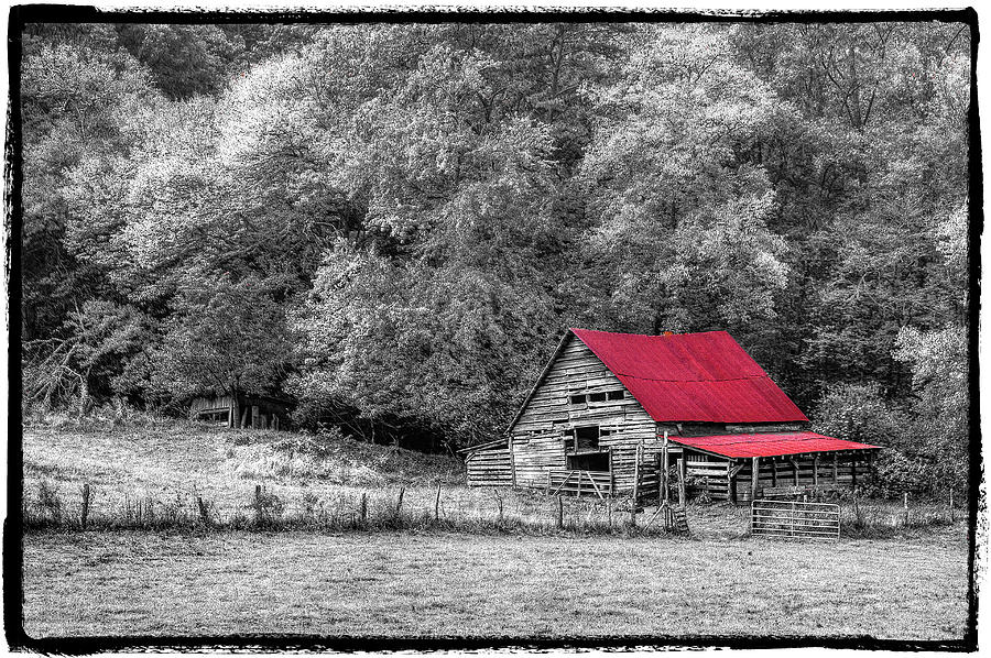 Candy Mountain Black White and Red Bordered Photograph by Debra and Dave Vanderlaan