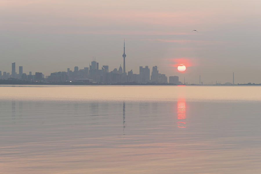 Candy Pink Sunrise Behind Toronto Skyline Photograph