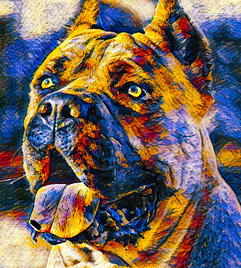 Cane Corso head - blue and orange colorful painting Digital Art by Nicko Prints