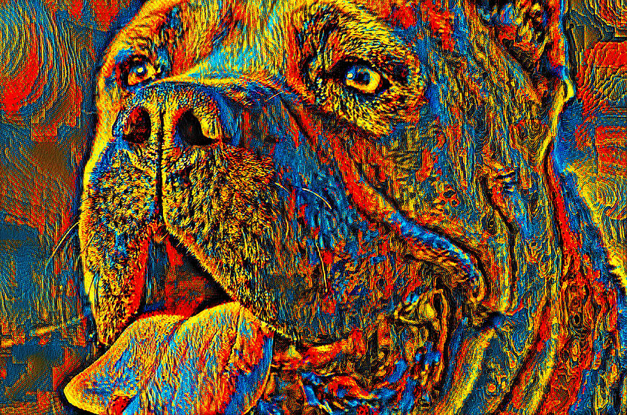 Cane Corso head close-up - blue, yellow and red colorful painting Digital Art by Nicko Prints