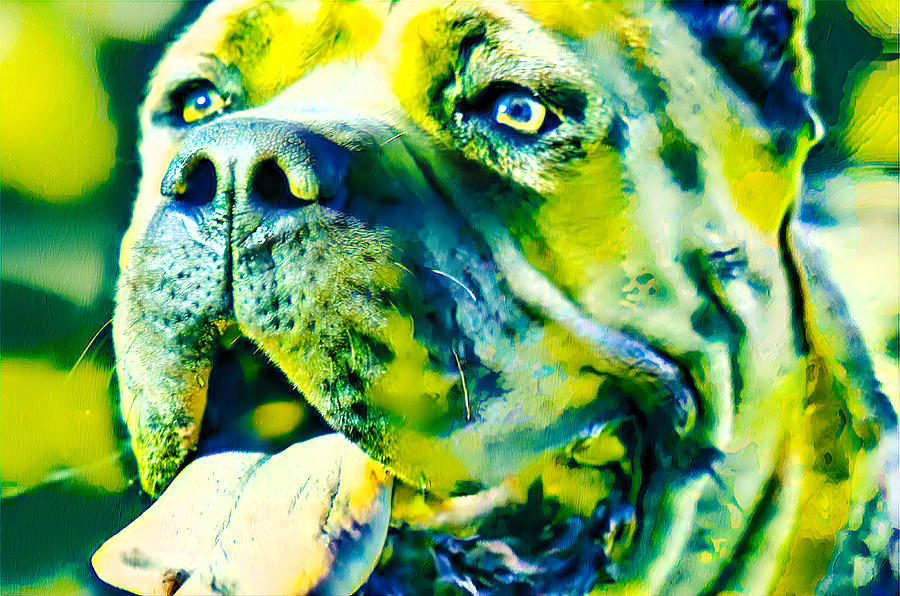 Cane Corso head close-up - green and blue colorful painting Digital Art by Nicko Prints