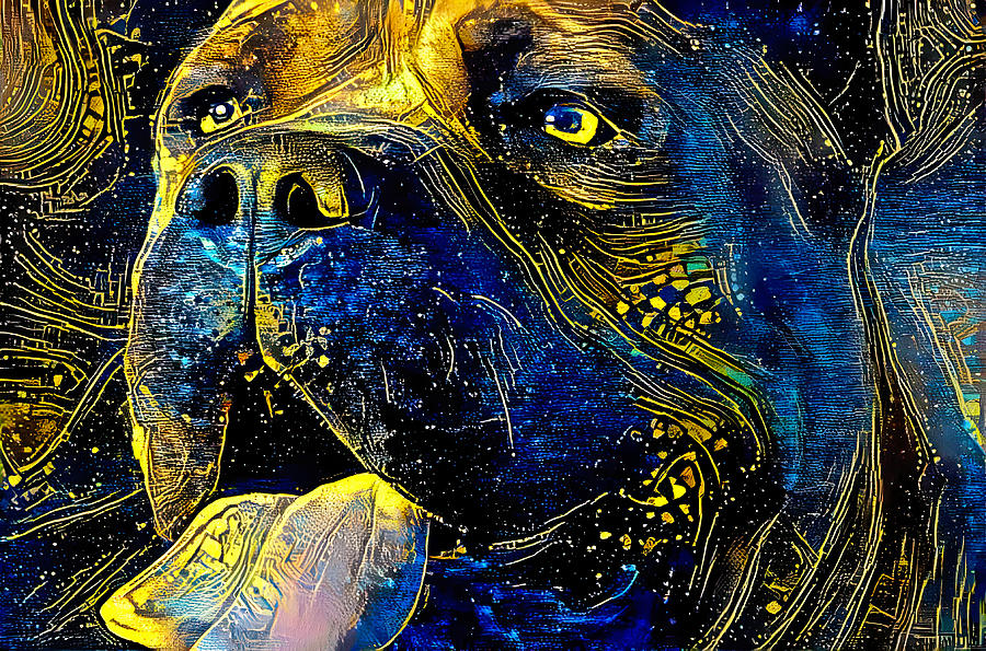 Cane Corso head close-up - starry blue with yellow colorful painting Digital Art by Nicko Prints