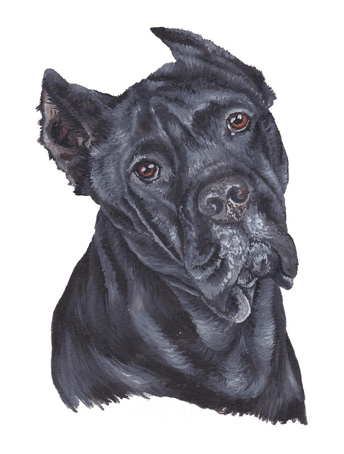 cane corso painting