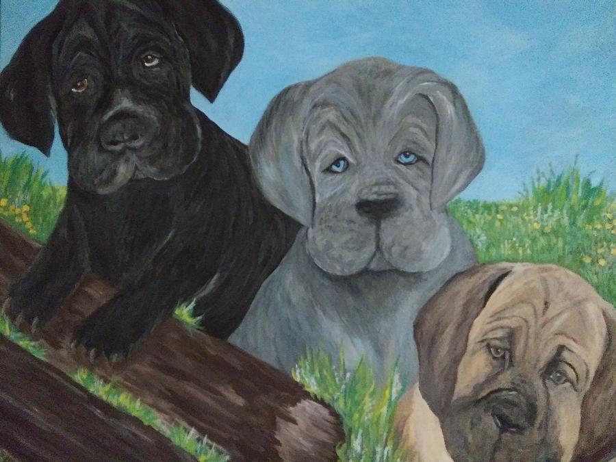 Cane Corso Puppies Painting by Christy Saunders Church