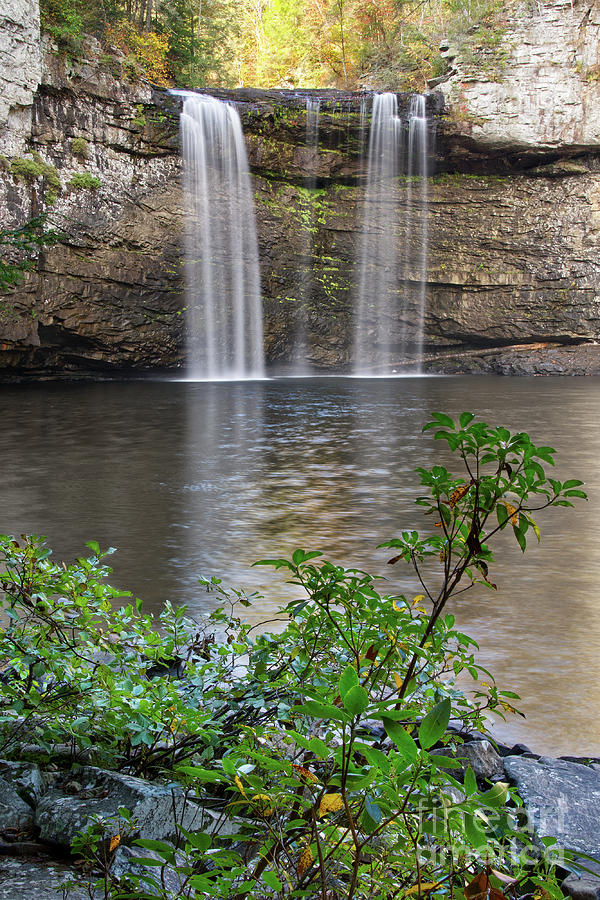 Cane Creek Falls 14 Photograph by Phil Perkins