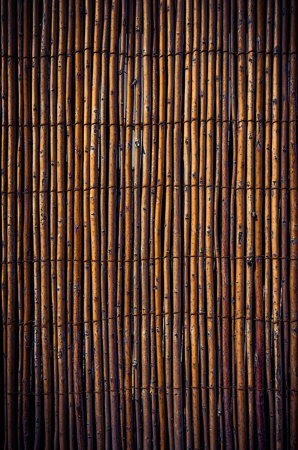 Cane Fence Background Photograph by Carlos Caetano