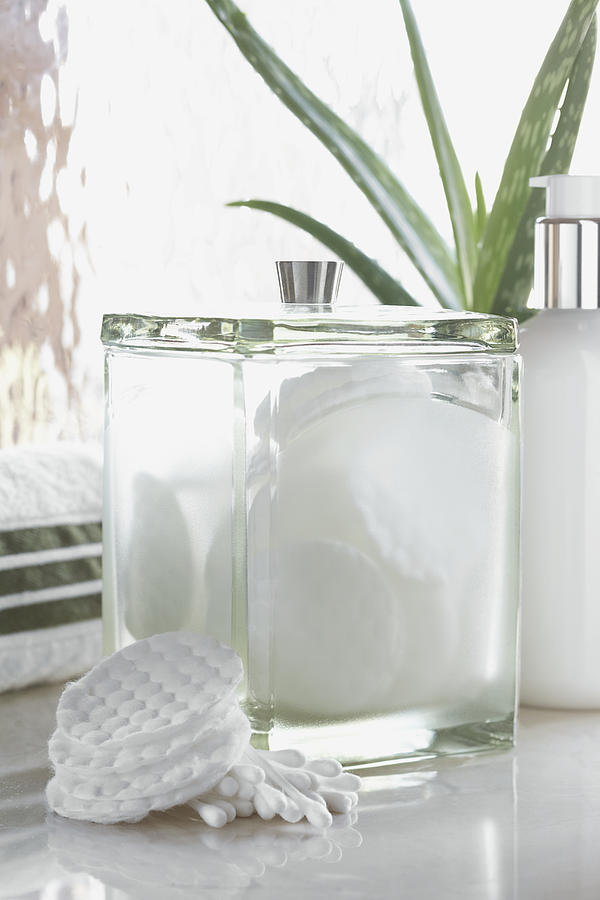 Canister of cotton pads and aloe vera plant Photograph by Fancy/Veer/Corbis
