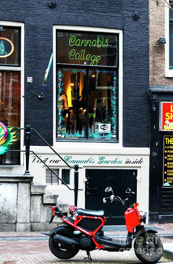 Cannabis College in Amsterdam Photograph by John Rizzuto