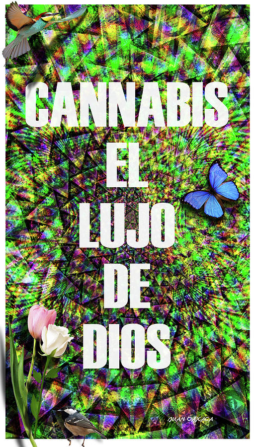 Cannabis El Lujo De Dios Digital Art by J U A N - O A X A C A