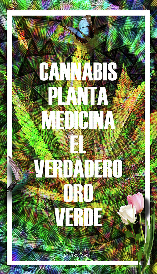 Cannabis El Oro Verde Digital Art by J U A N - O A X A C A