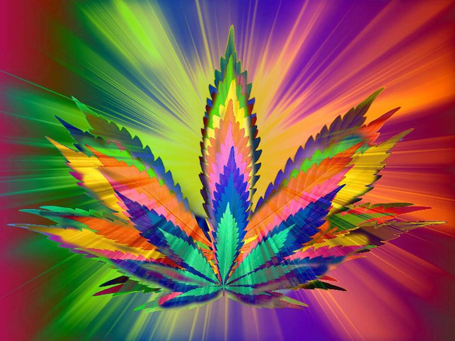 Marijuana Leaf Digital Art - Leaf Lover  by Nature Art