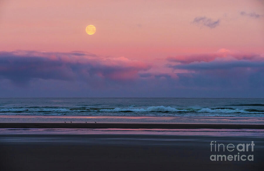 Cannon Beach Full Moonset Waves Photograph