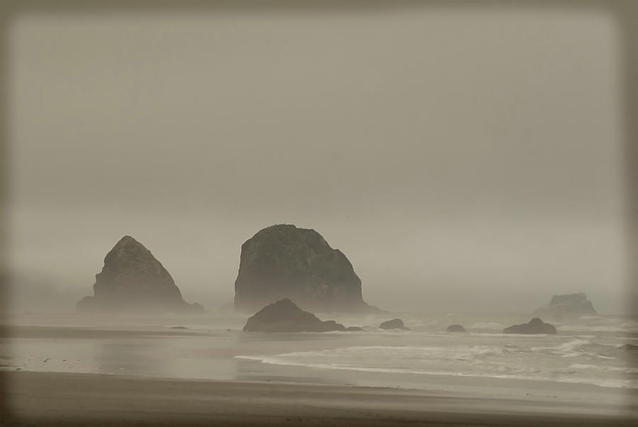 Cannon Beach in a fog Oregon Photograph by Yulia Kazansky