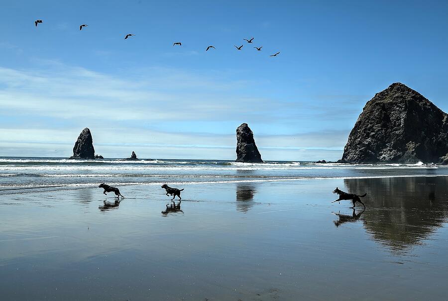 Cannon Beach Digital Art by John Doyle - Fine Art America