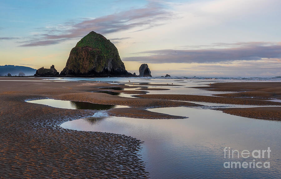 Cannon Beach Low Tide Pools Photograph