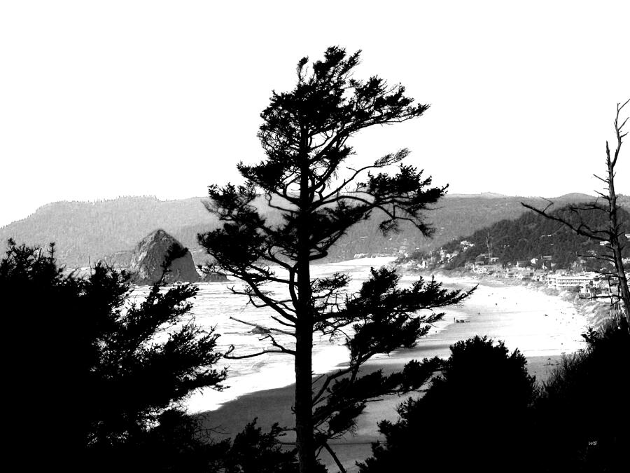 Cannon Beach Monochrome Photograph by Will Borden
